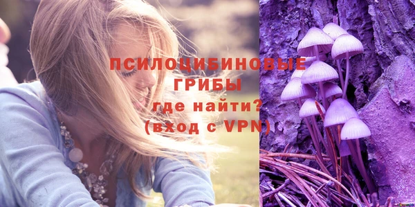 apvp Семёнов
