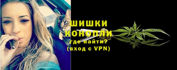 дурь Семилуки
