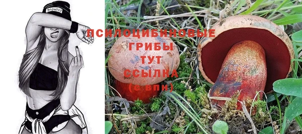 дурь Семилуки