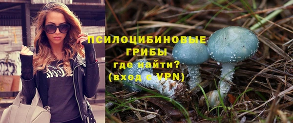 apvp Семёнов