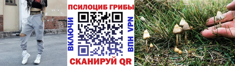 закладка  Чаплыгин  Галлюциногенные грибы Magic Shrooms 